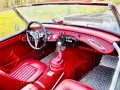 Austin Healey CHEVY HEALEY 327 MK II