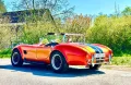 Cobra COBRA / PILGRIM V8 Top Zustand