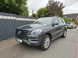 Mercedes-Benz ML 250 BlueTEC 4MATIC -LED-Pano-Volleder-Kamera