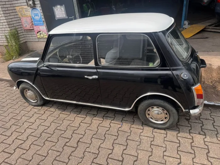 MINI 1000