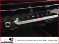 GWM Haval Jolion Pro Premium+Automatik+Leder+LED+PAN