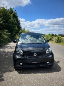 Smart ForTwo Cabrio Prime Sport 90PS Navi/Leder