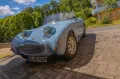 Austin Healey Andere