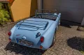 Austin Healey Andere