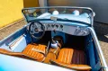 Austin Healey Andere
