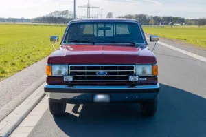 Ford FORD F-150 1990