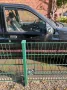 Ford Sierra 1.8 Limousine - H-Kennzeichen ...