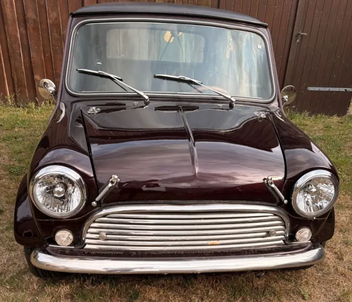 MINI 1000