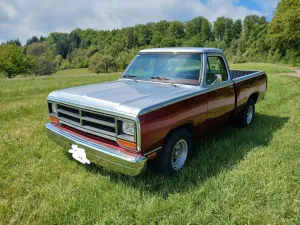 Dodge Andere