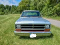 Dodge Andere