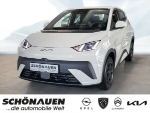 BYD Dolphin Surf Comfort