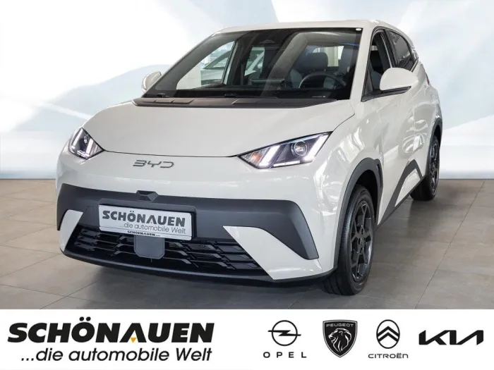 BYD Dolphin Surf Comfort