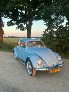 Volkswagen Käfer Oval 1954
