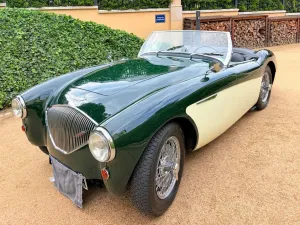 Austin Healey Andere