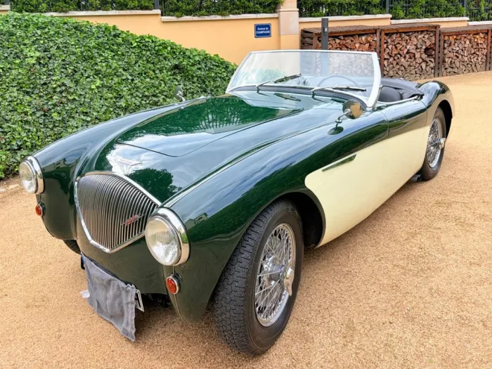 Austin Healey Andere