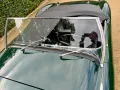 Austin Healey Andere