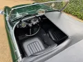 Austin Healey Andere