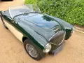 Austin Healey Andere