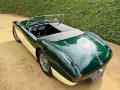 Austin Healey Andere