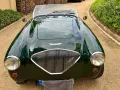 Austin Healey Andere