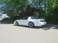 Pontiac  Trans Am - Official Pace Car Winston 500