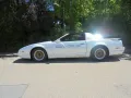 Pontiac  Trans Am - Official Pace Car Winston 500