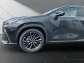 Lexus NX 350h 350h Business Line *15J Garantie*