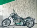 Other Altro Altro Titan Coyote - Harley Davidson Softa