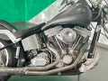 Other Altro Altro Titan Coyote - Harley Davidson Softa