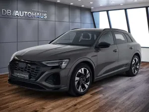 Audi Q8 e-tron 55 S line 114 kWh Matrix Assistenzpake