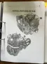 Ford Taunus Typ 81 E 4 SA