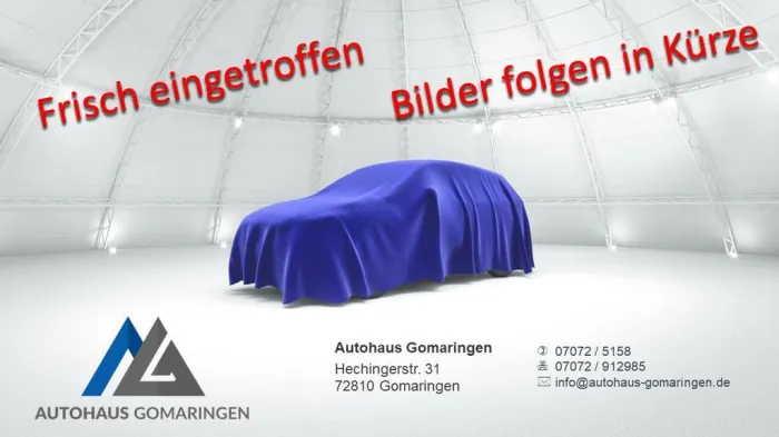 Dacia Dokker Stepway*1.Hand*NAVI*KAMERA*TEMP*SHZ*LM