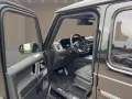 Mercedes-Benz G 450 d AMG/Exclusive/SHD/Standhzg/AHK/Burme/360