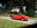 Austin Healey Andere