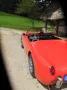 Austin Healey Andere
