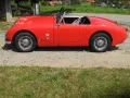 Austin Healey Andere