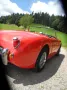 Austin Healey Andere