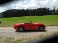 Austin Healey Andere