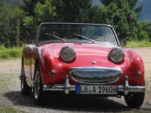 Austin Healey Andere