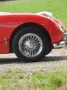 Austin Healey Andere