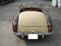 MGA