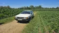 Audi 100 Avant 2,3 quattro 5-Zylinder C3 Typ44 1.Hand