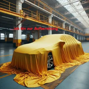 MINI Countryman Cooper Pepper - Xenon - SHZ - PDC