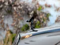 Rolls-Royce Ghost Black Badge