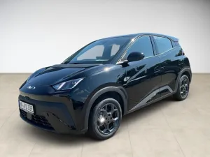 BYD DOLPHIN SURF Boost AUT SpurH
