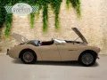 Austin Healey 100/4 100 4 Edelstahl Endschalldämpfer Leder rot