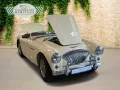 Austin Healey 100/4 100 4 Edelstahl Endschalldämpfer Leder rot