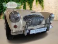 Austin Healey 100/4 100 4 Edelstahl Endschalldämpfer Leder rot