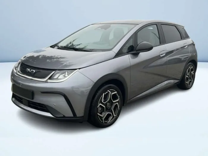 Other BYD DOLPHIN Design