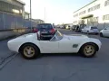 Other AC Cobra Gardner Douglas GD-350